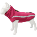 Winter pet clothing wholesale